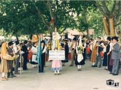 orgaos-sociais